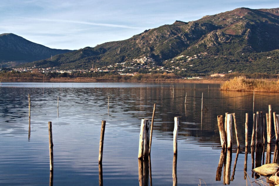 Réserve Naturelle de l’Étang de Biguglia