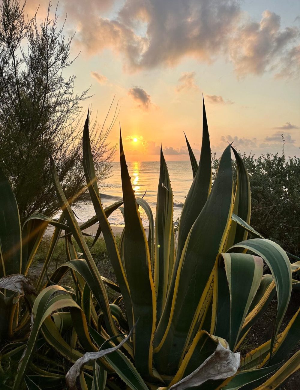 Lever de soleil A Stalla